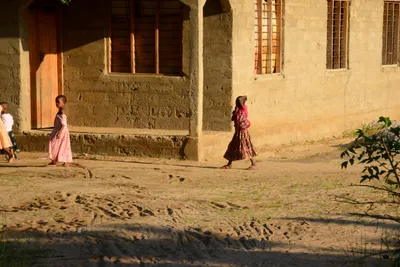 DSC_8382 (Large).JPG